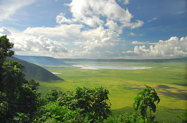 tanzania safari