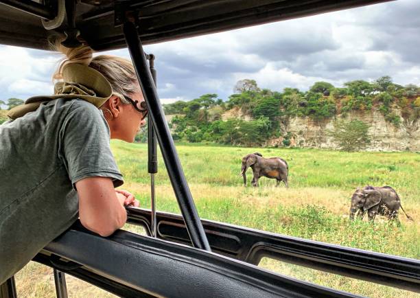 mountain climbing in tanzania & Private luxury safari: Safari stride