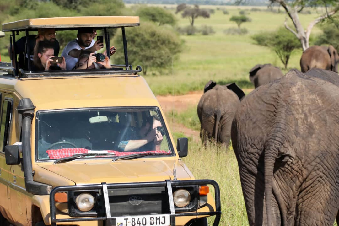 Wildlife safaris in Serengeti, Ngorongoro, Tarangire, Manyara, Zanzibar island, Gombe, Mountain Kilimanjaro, Mountain meru, Tanzania National Park